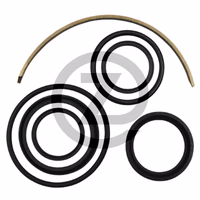 Kit de réparation Case IH 155700340710 adaptable