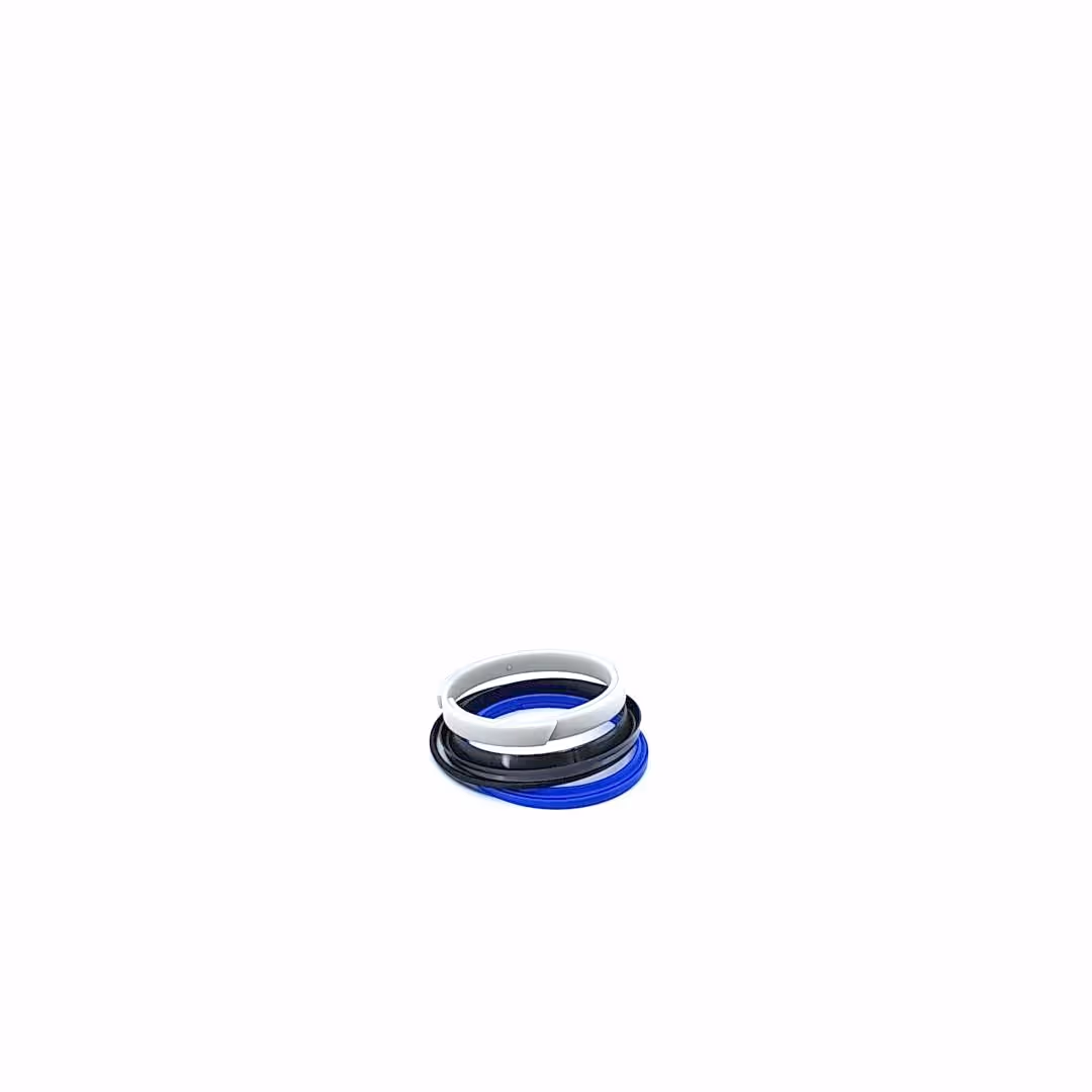 KIT JOINTS DE VERIN