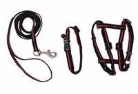 Kit pour chat harnais/laisse/collier