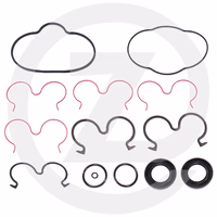 KIT REP.POMPE HYDR - 748142 - MANITOU