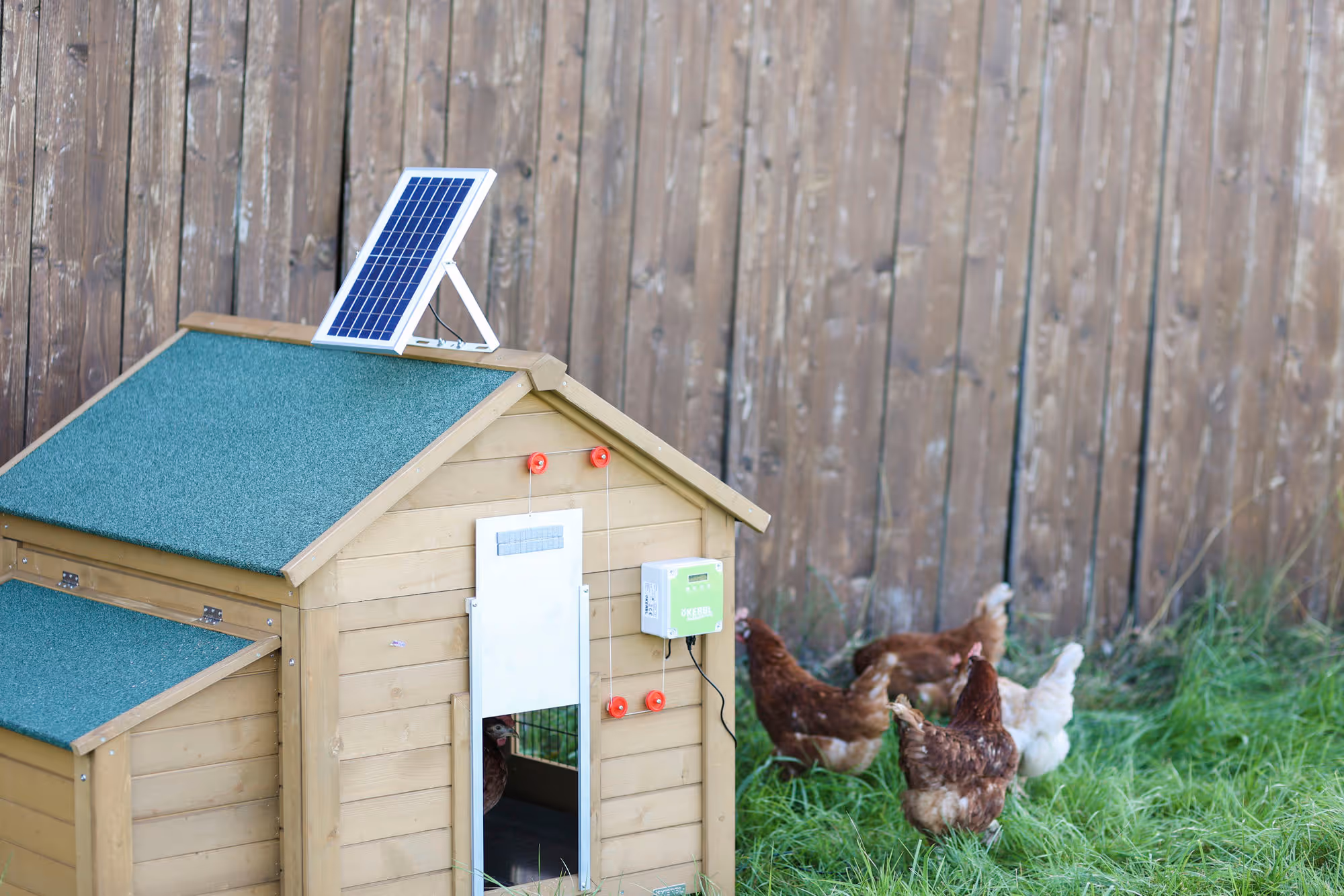 Kit solaire 10W porte poulailler automatique