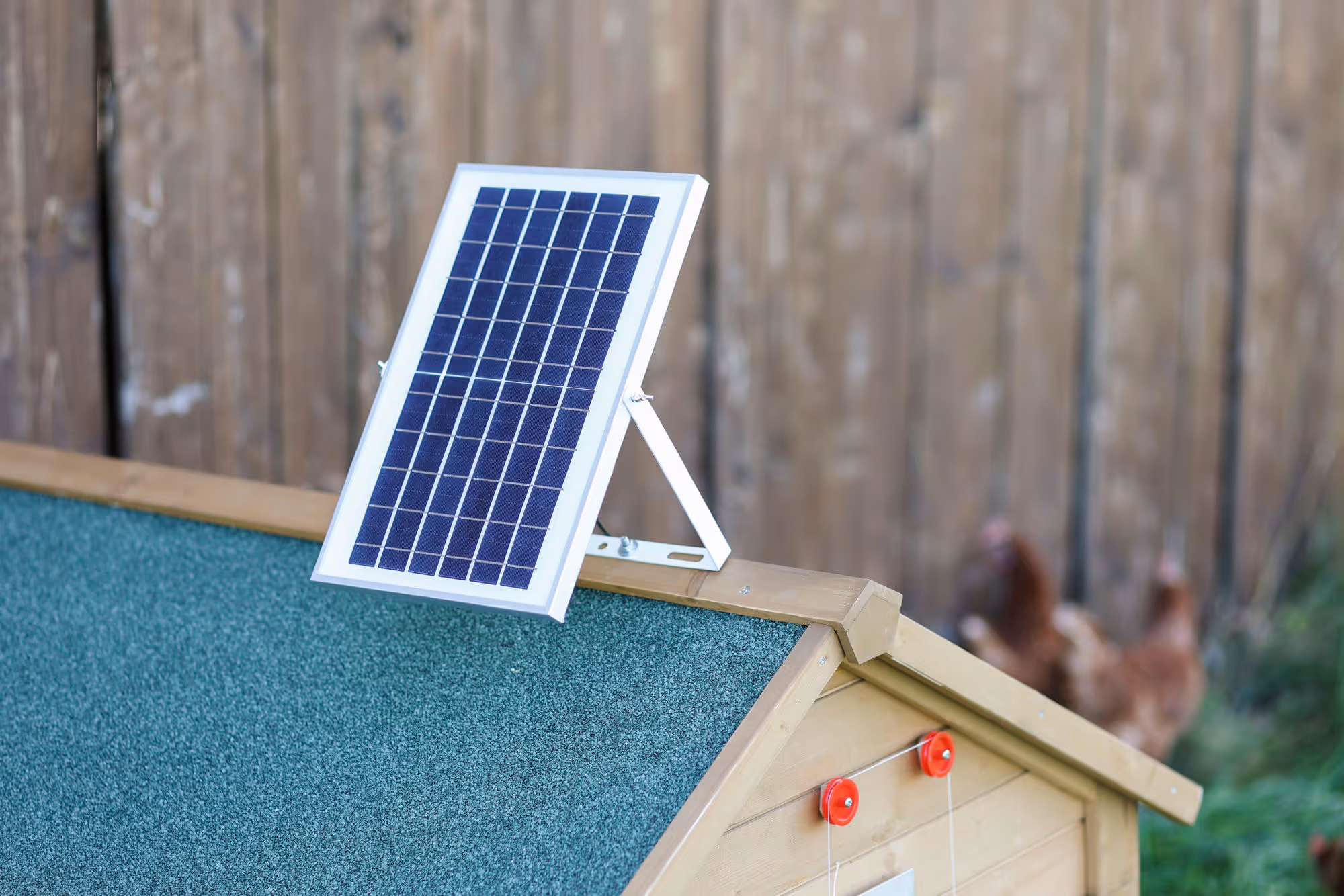 Kit solaire 10W porte poulailler automatique