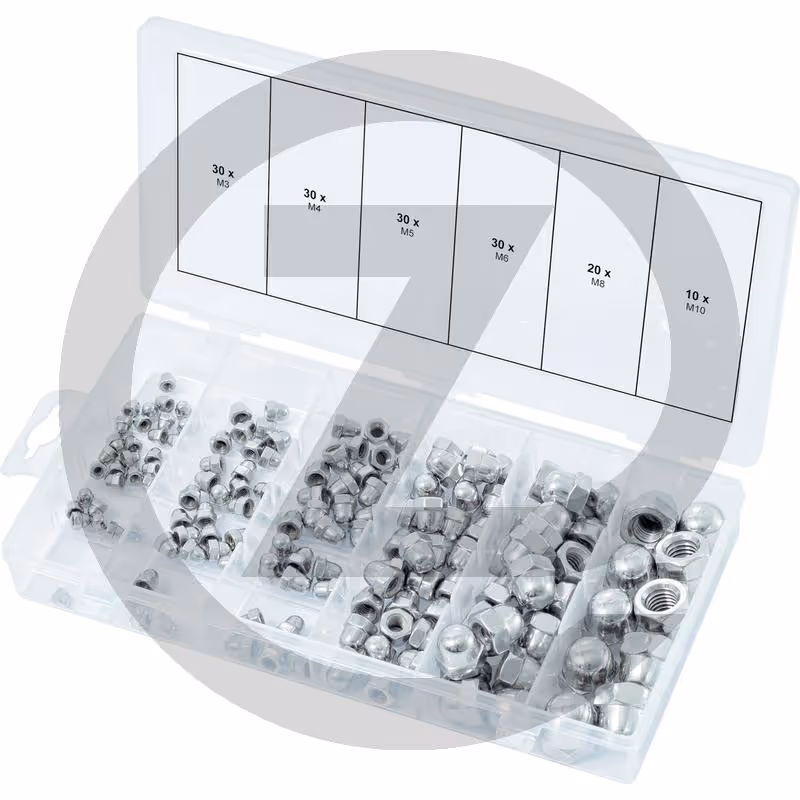 KS Tools Assortiment d'écrous en inox, metriques, 300 pcs.
