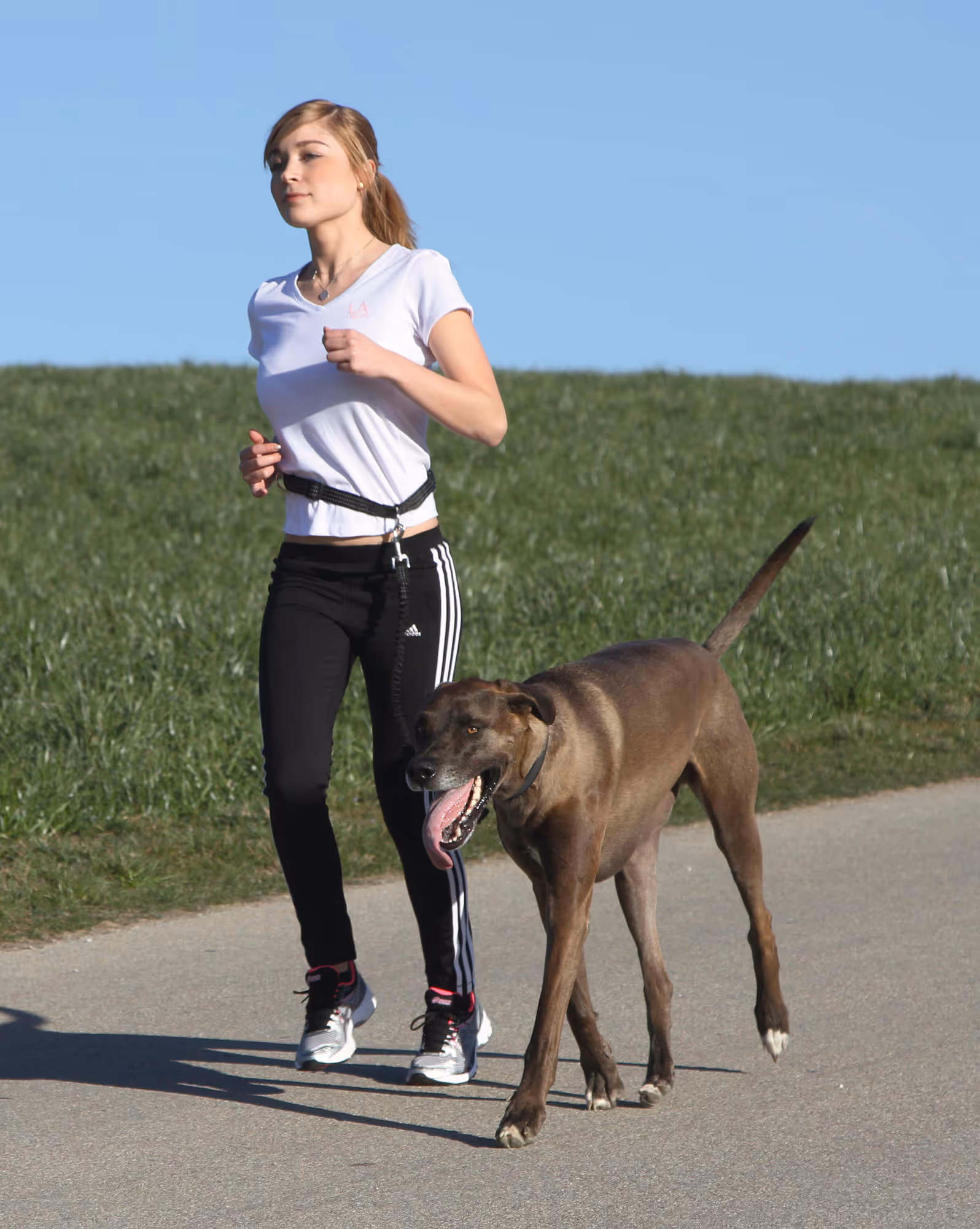 Laisse de jogging Active avec ceinture