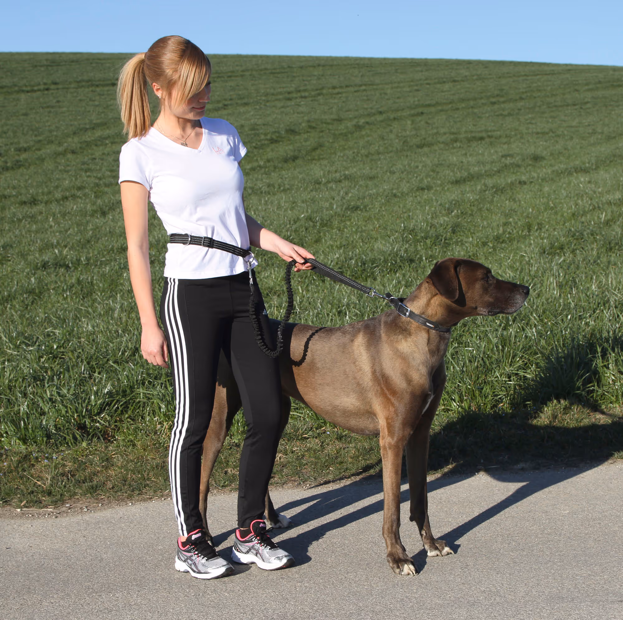 Laisse de jogging Active avec ceinture