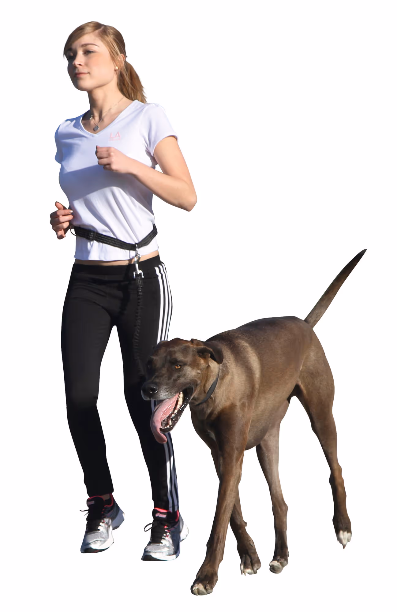 Laisse de jogging Active avec ceinture