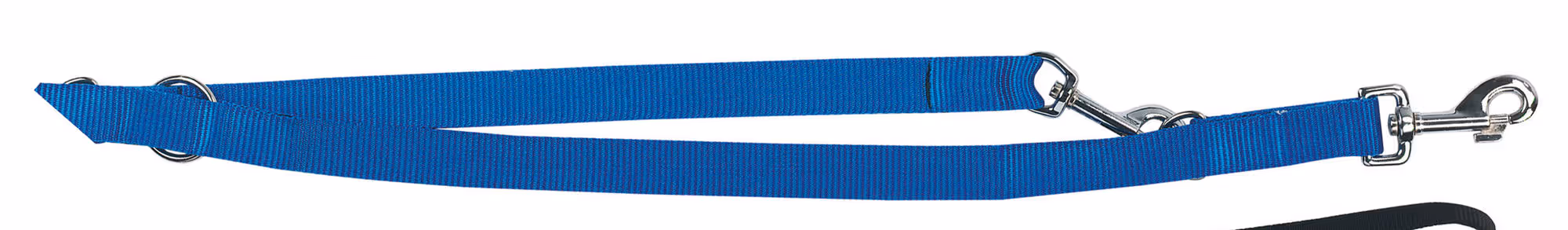Laisse longue Miami bleue, 200cm, 25 mm