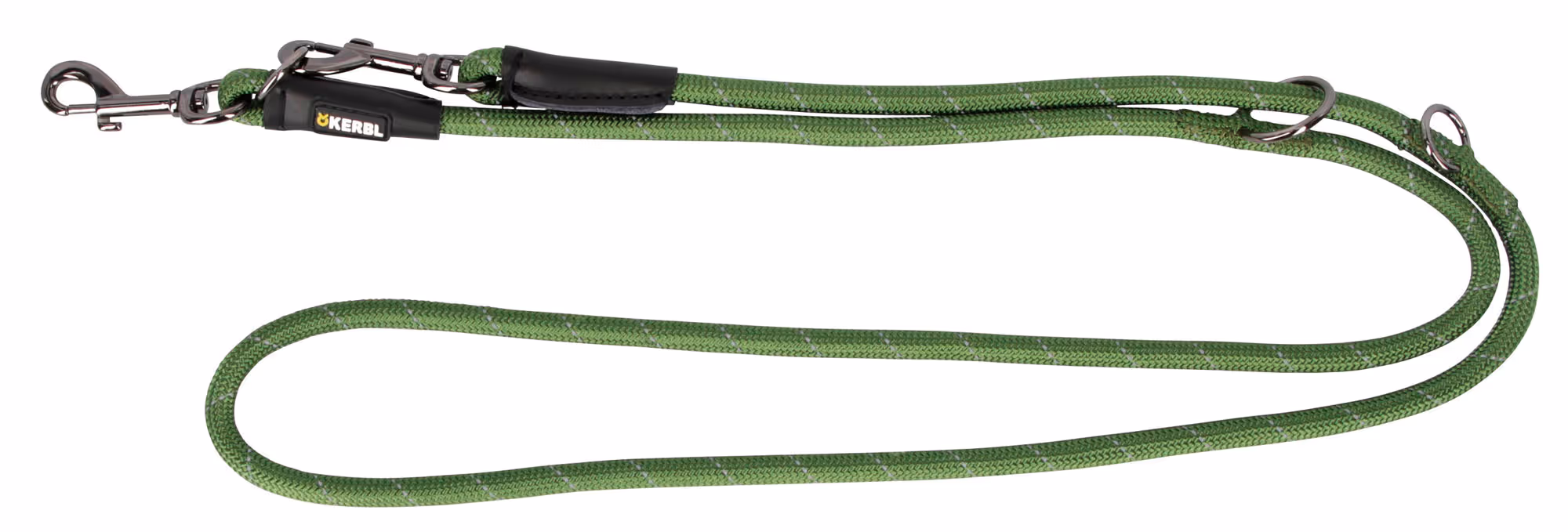 Laisse pour chien Seoul, vert vert, 200cm, 10mm