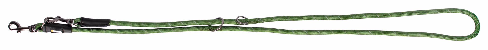 Laisse pour chien Seoul, vert vert, 200cm, 10mm