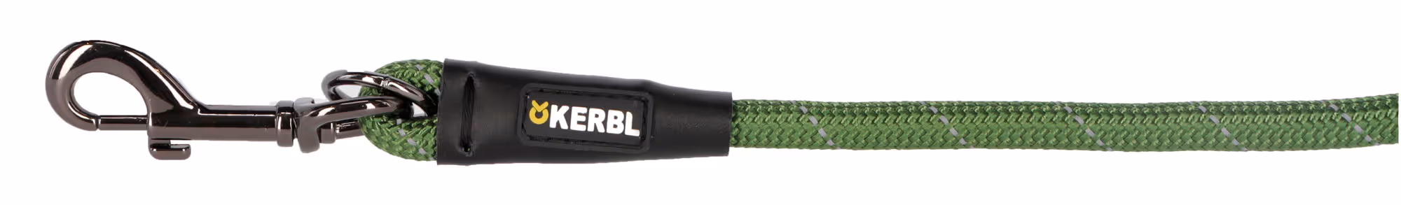 Laisse pour chien Seoul, vert vert, 200cm, 10mm