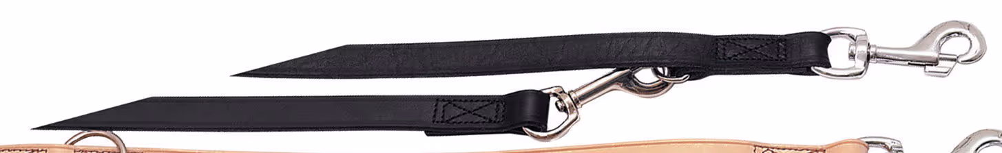 Laisse pour chien Vegas noire 22mm/240cm