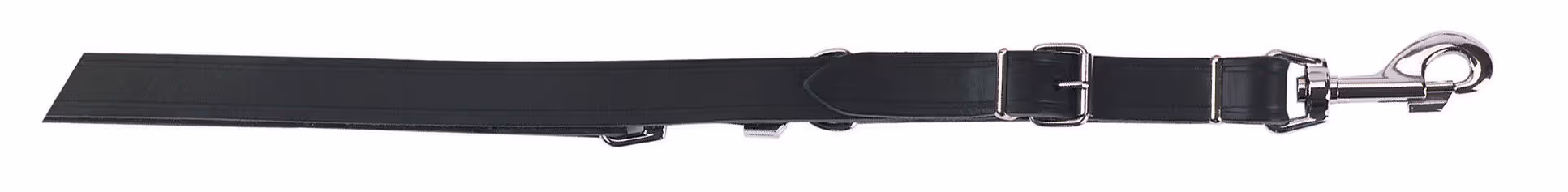 Laisse pour chien Vegas noire 22mm/240cm