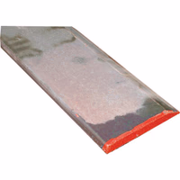 Lame godet 200x20 tp 400 hb lg 2.20m