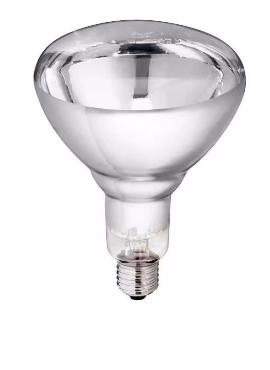 Lampe IR Philips 150W 240v blanche,verre renforcé