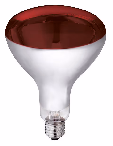 Lampe Kerbl IR 250W rouge, verre de sécurité