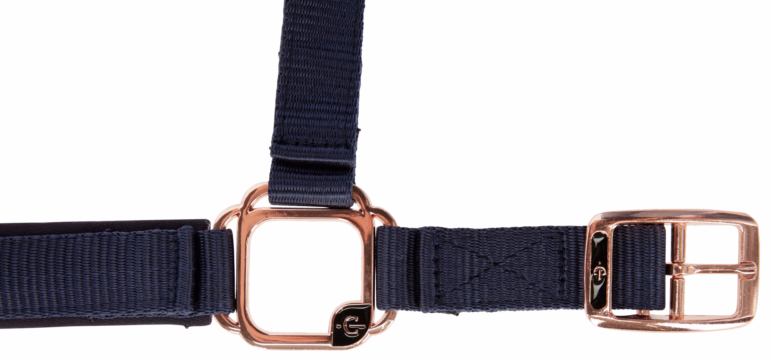 Licol Classy Navy, Cob