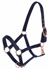 Licol Classy Navy, Pony