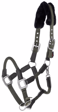 Licol Cordano olive, Full