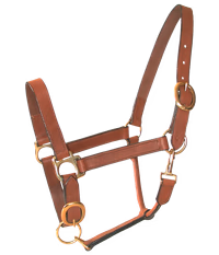 Licol double poney cuir huilé - Lacmé