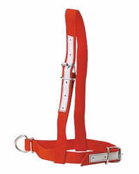 Licol vache - Ukal - Nylon rouge