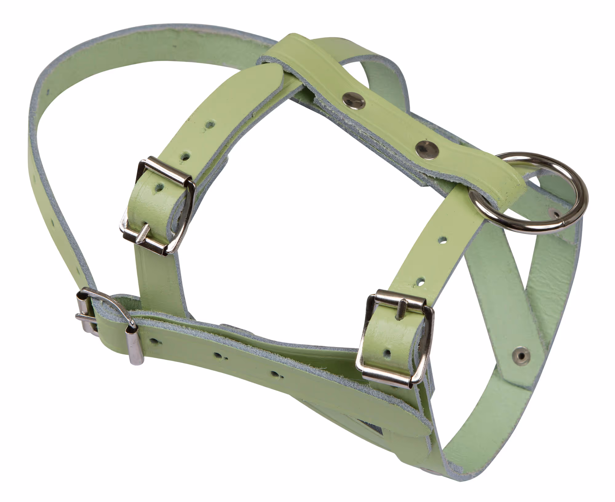 Licol mouton cuir 