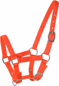 Licol poulain rouge - Lacmé