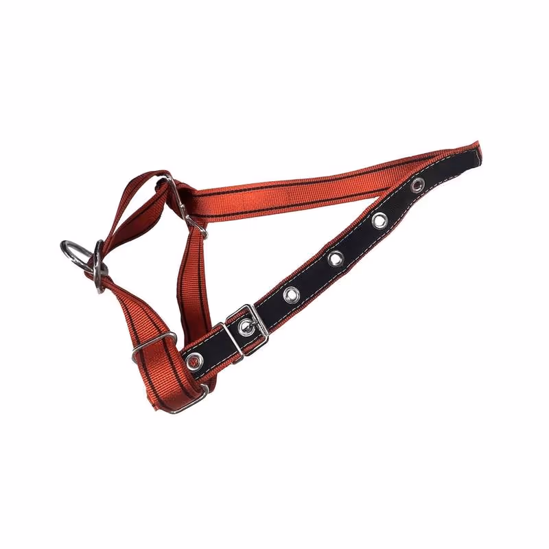 Licol réglable nylon rouge et noir pour génisse 35mm 1 réglage L=1,00m