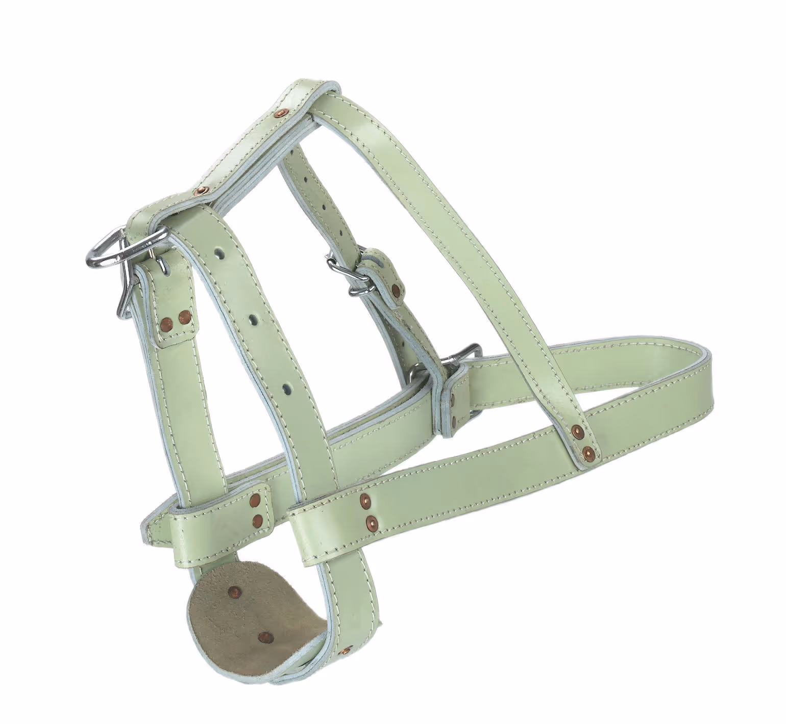 Licol taureaux cuir, vert clair