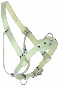 Licol taureaux cuir, vert clair