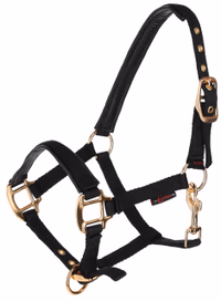 Licol TopLine Black, Poulain