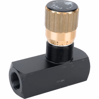 Clapet anti-retour étrangleur max 80L/min