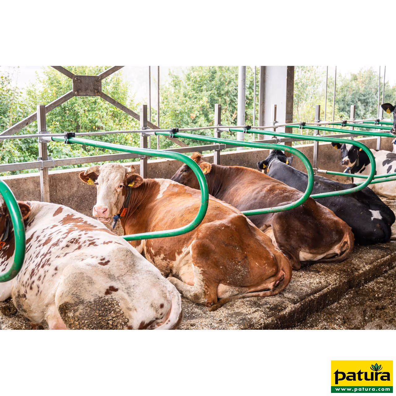 Logette flexible PATURA PRIMA d= 50mm, L=1,90m, H=0,85m, sans poteaux ni brides