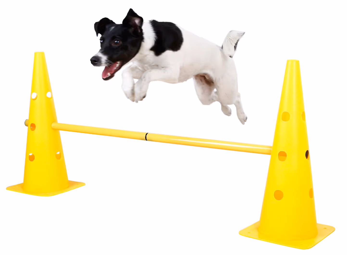 Lot cônes et barres d'obstacle Agility