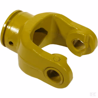 Mâchoire interne triangulaire