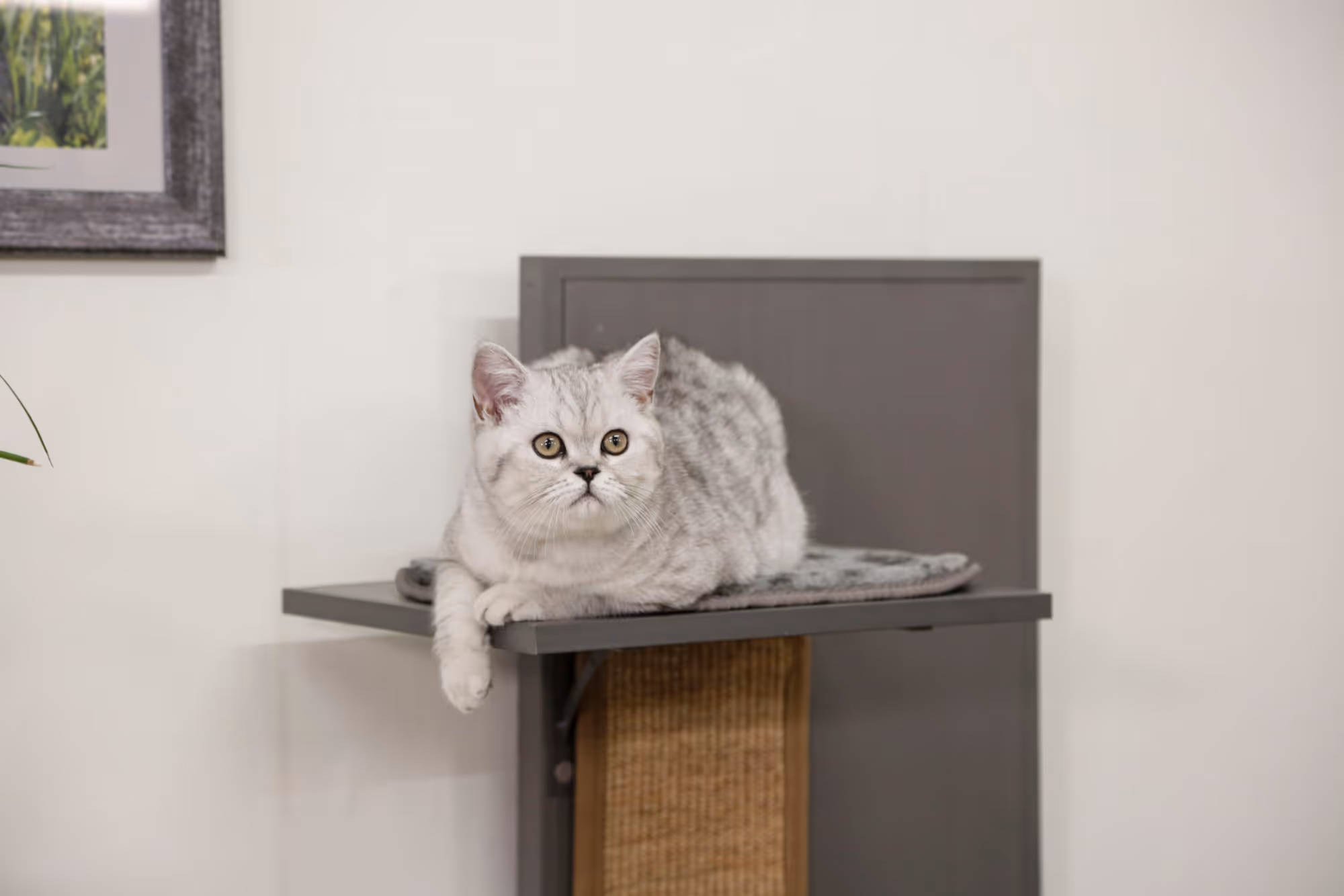 Maison de jeu pour chat ECO 42 x 42 x152,5 cm, gris