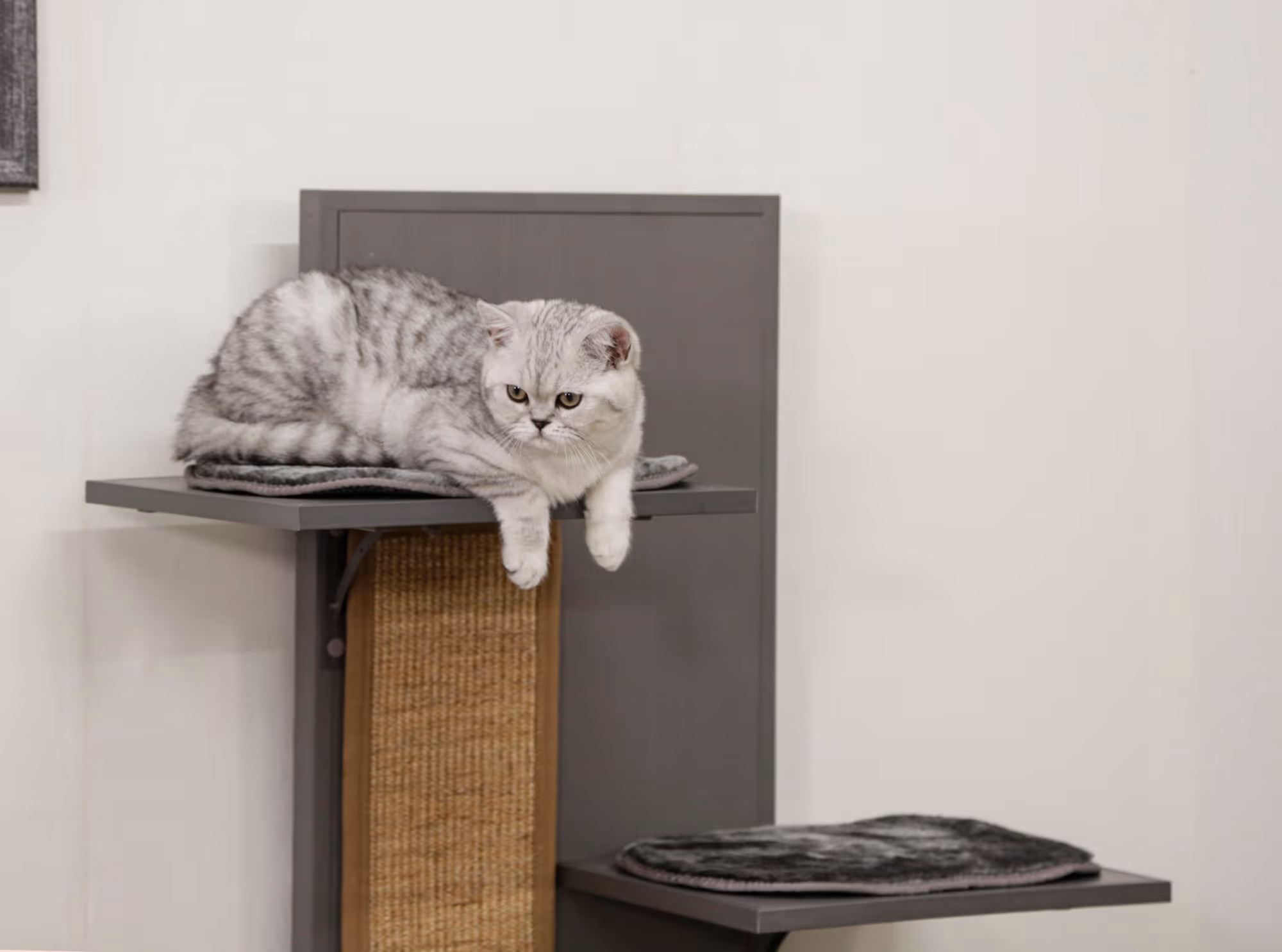 Maison de jeu pour chat ECO 42 x 42 x152,5 cm, gris