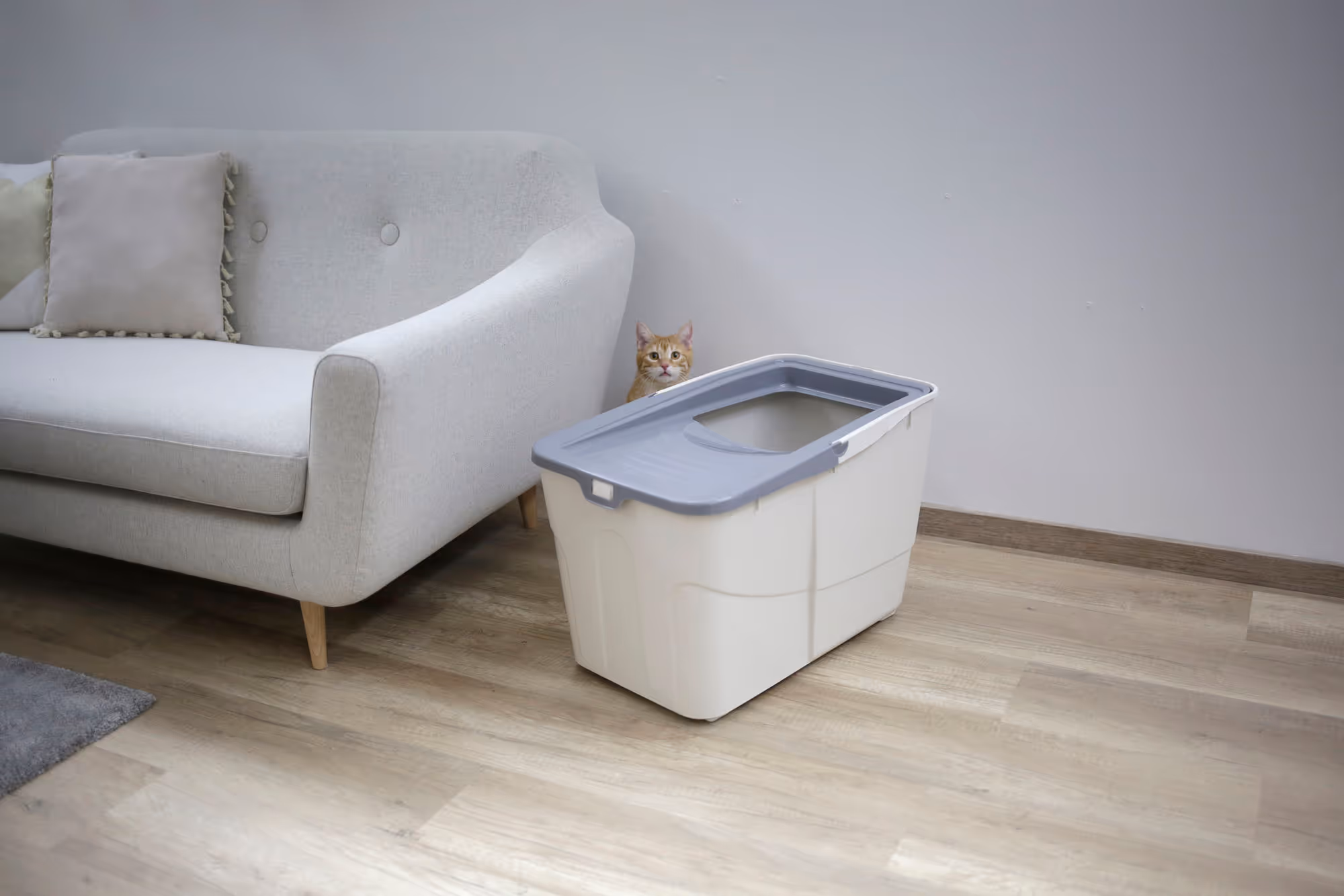 Maison de toilette pour chat Buxo, gris/bleu, 56X39X38,5cm