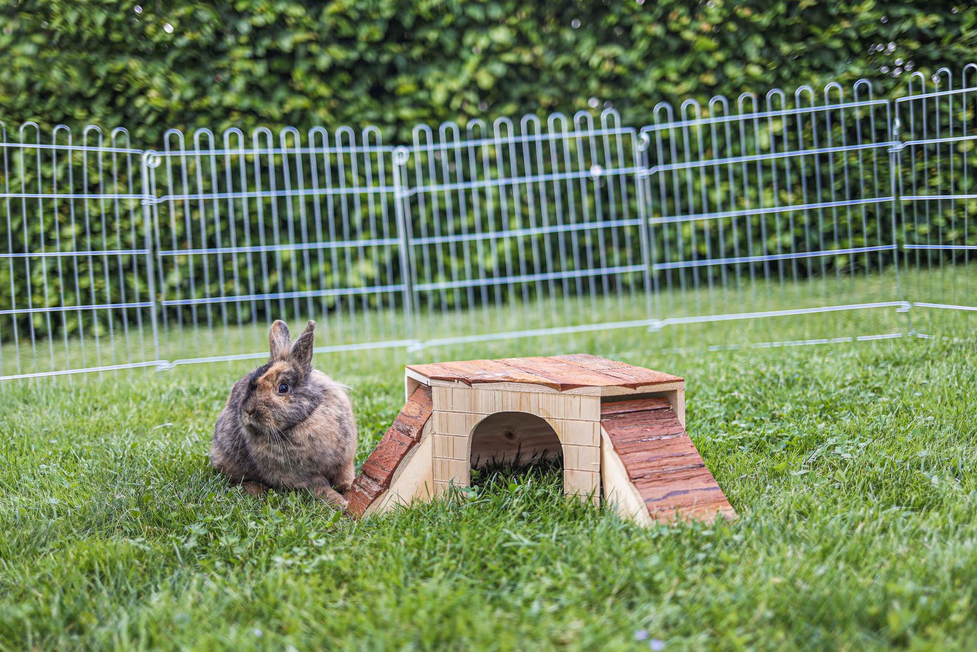 Maison pour rongeur Nature, 37X37X16cm