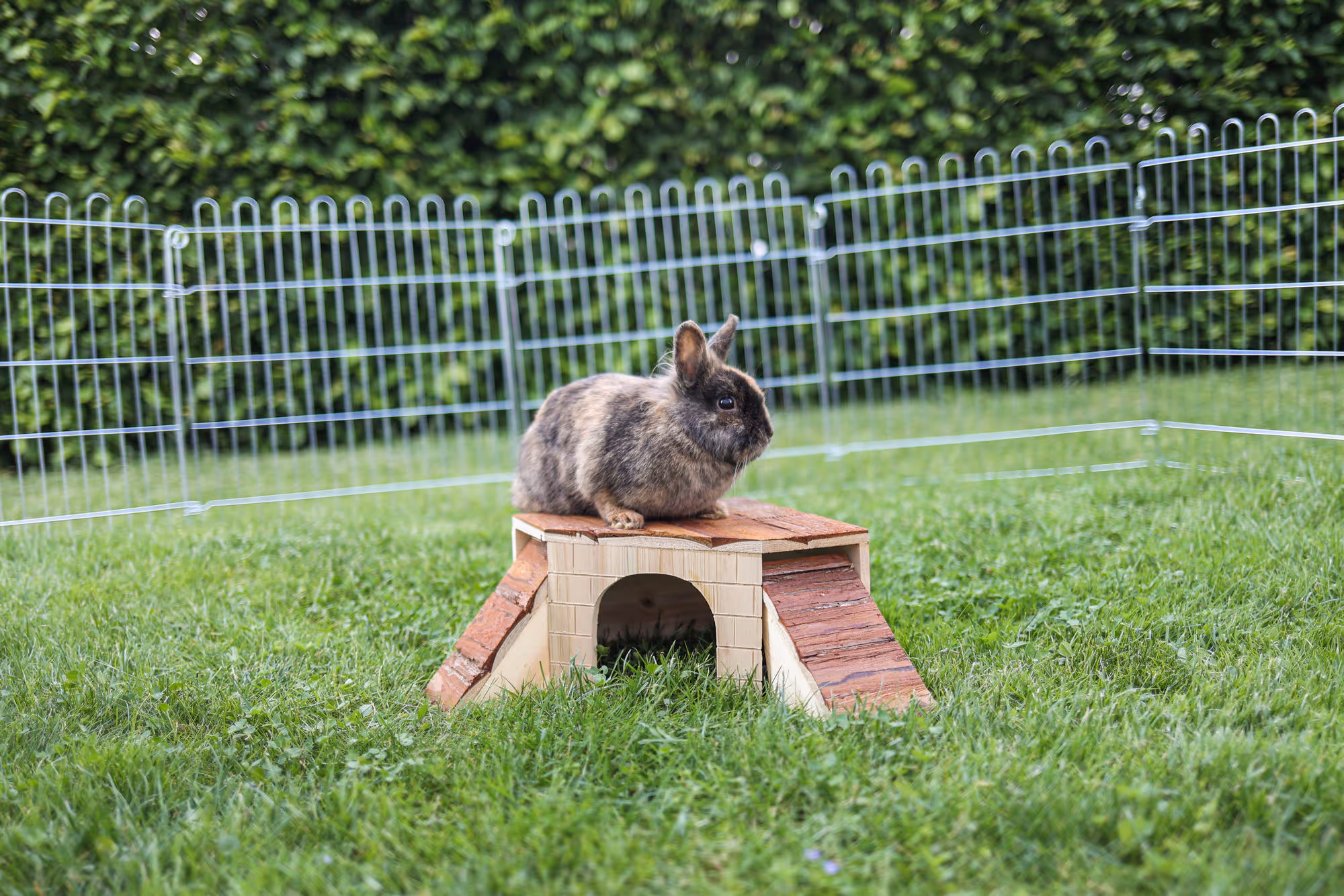 Maison pour rongeur Nature, 37X37X16cm