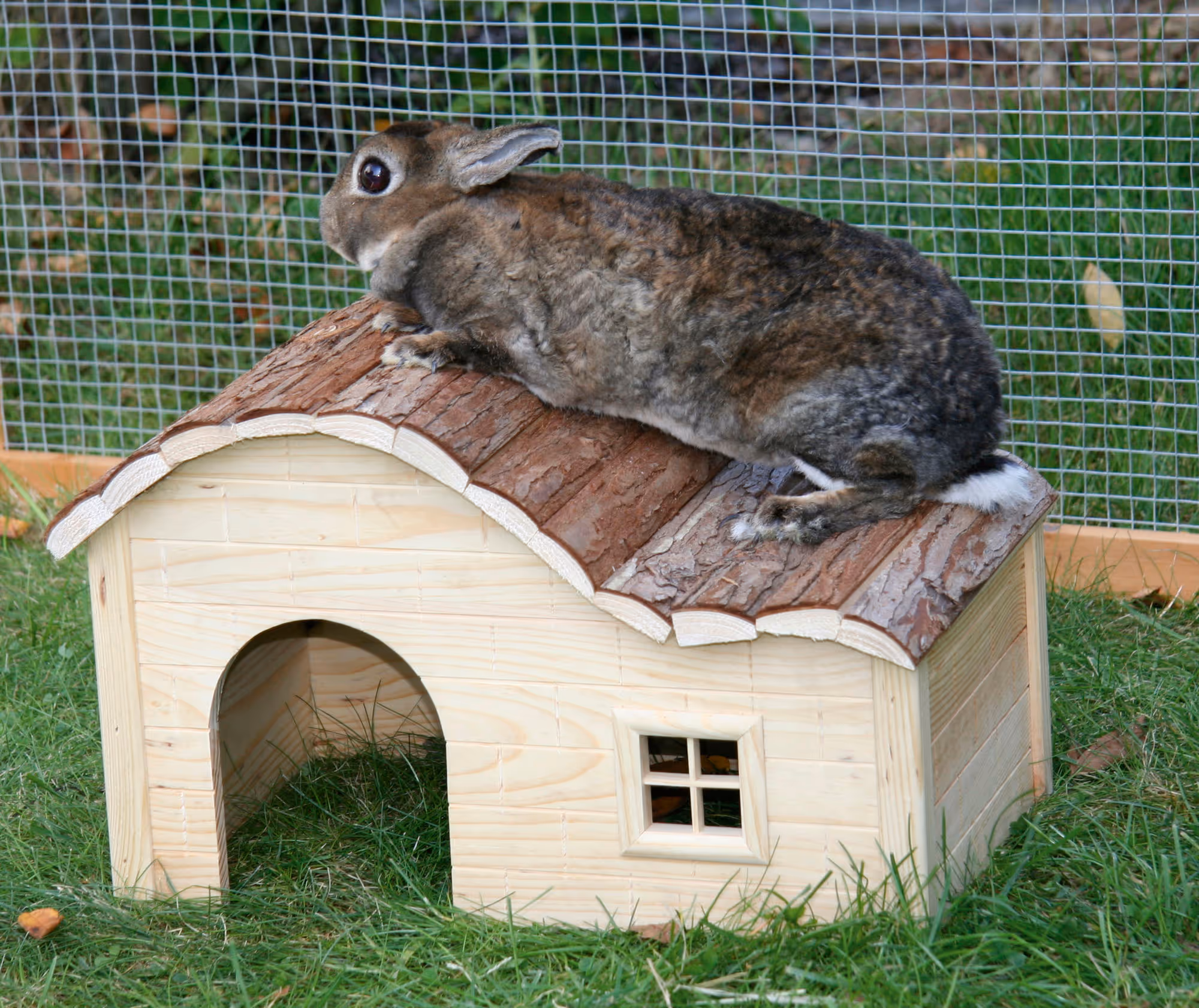 Maison pour rongeur Nature, toit galbé, 30X20X20cm