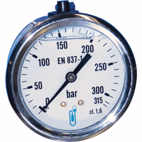 Manometre 63 mm 300 bar arriere 1/4"