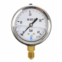 Manometre a glycerine - inox 0-40 bar (bl. 1 pc)