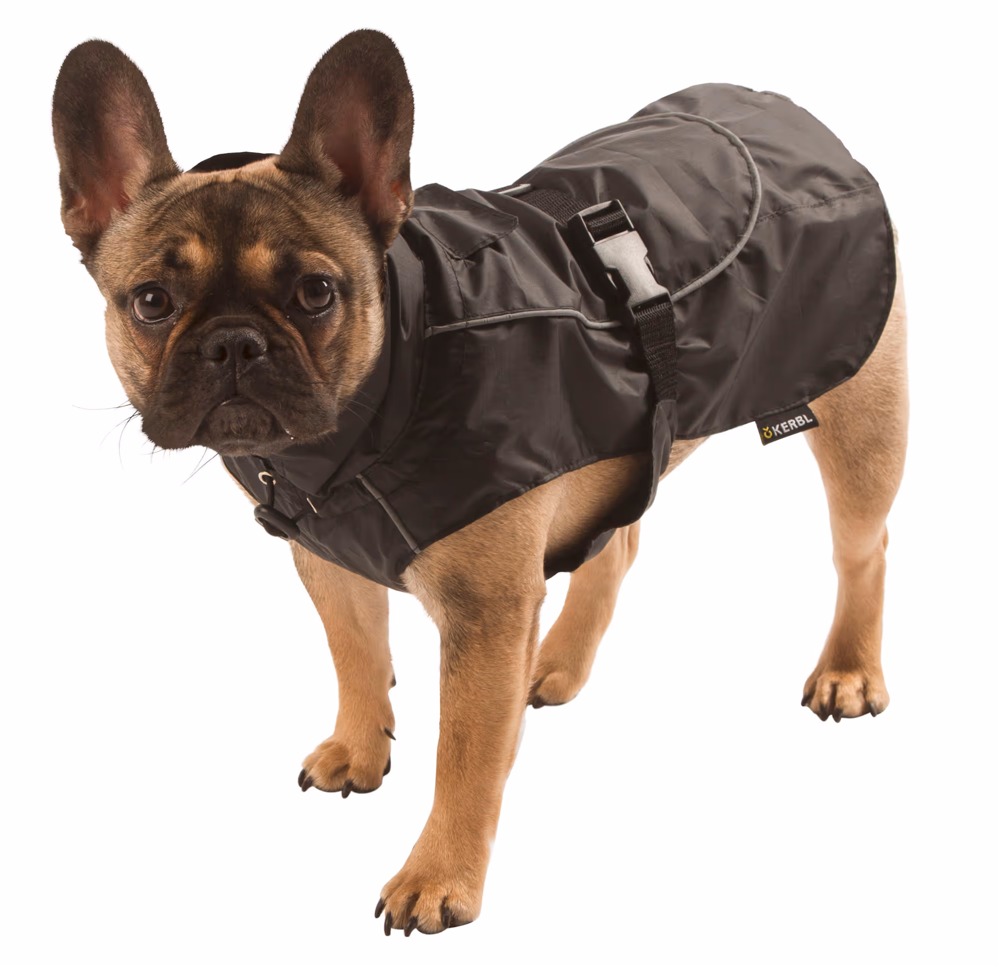 Manteau de pluie Forks noir, taille S, 35cm