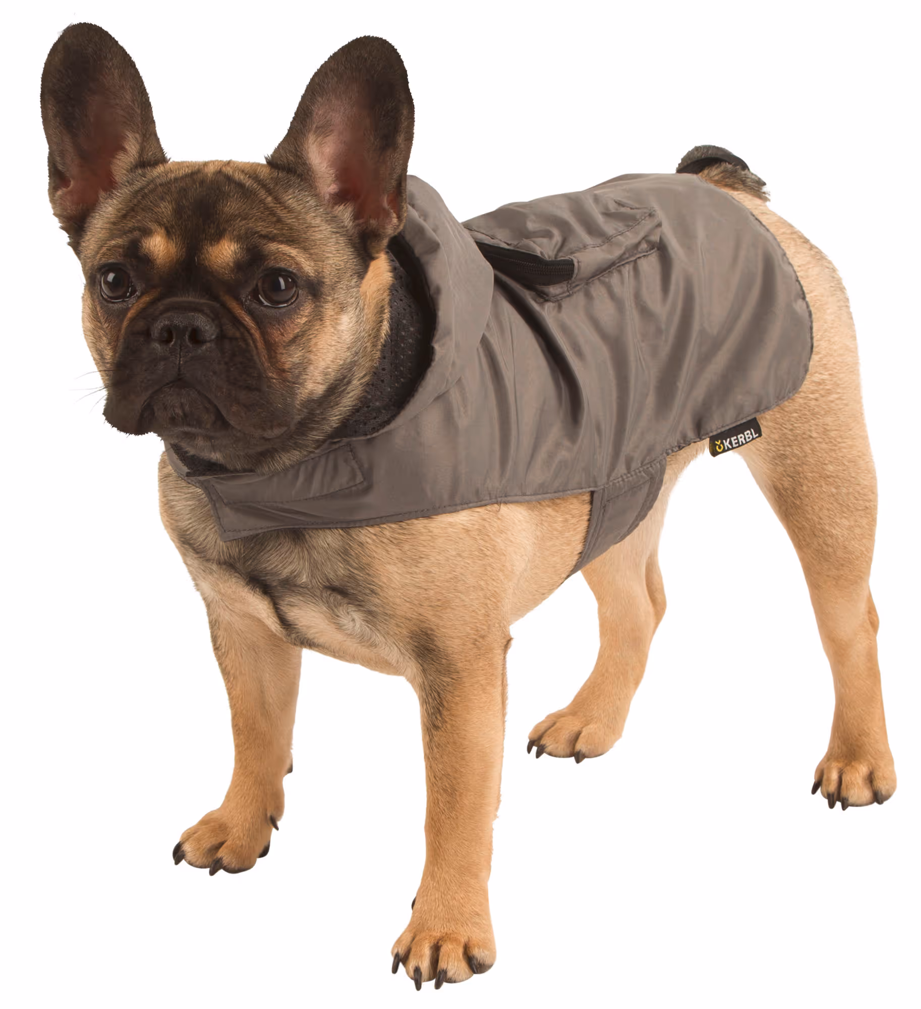 Manteau de pluie Seattle gris, taille M, 40cm