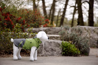 Manteau pour chien Vancouver gris/vert, taille S, 35cm