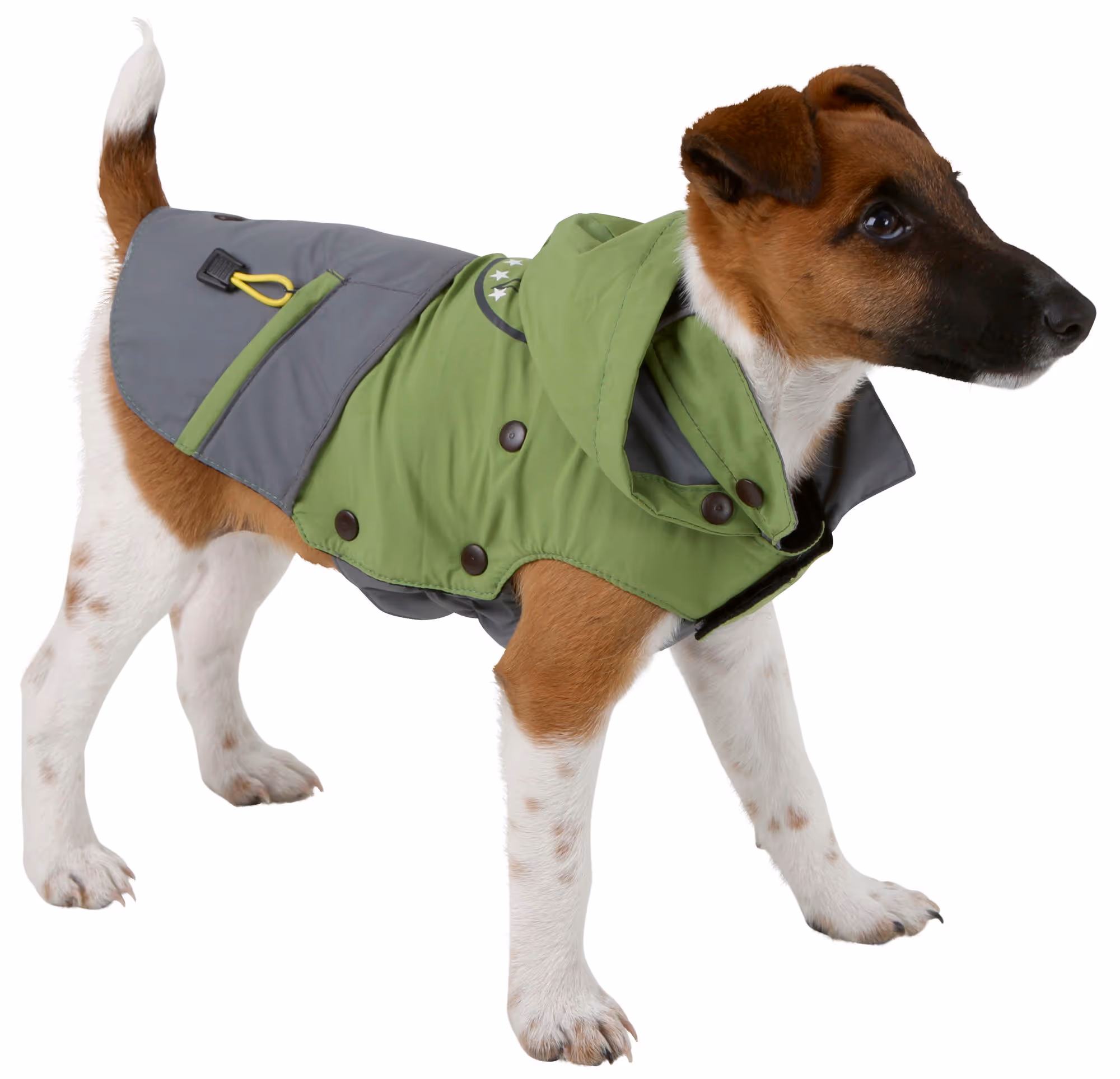 Manteau pour chien Vancouver gris/vert, taille XL, 50cm