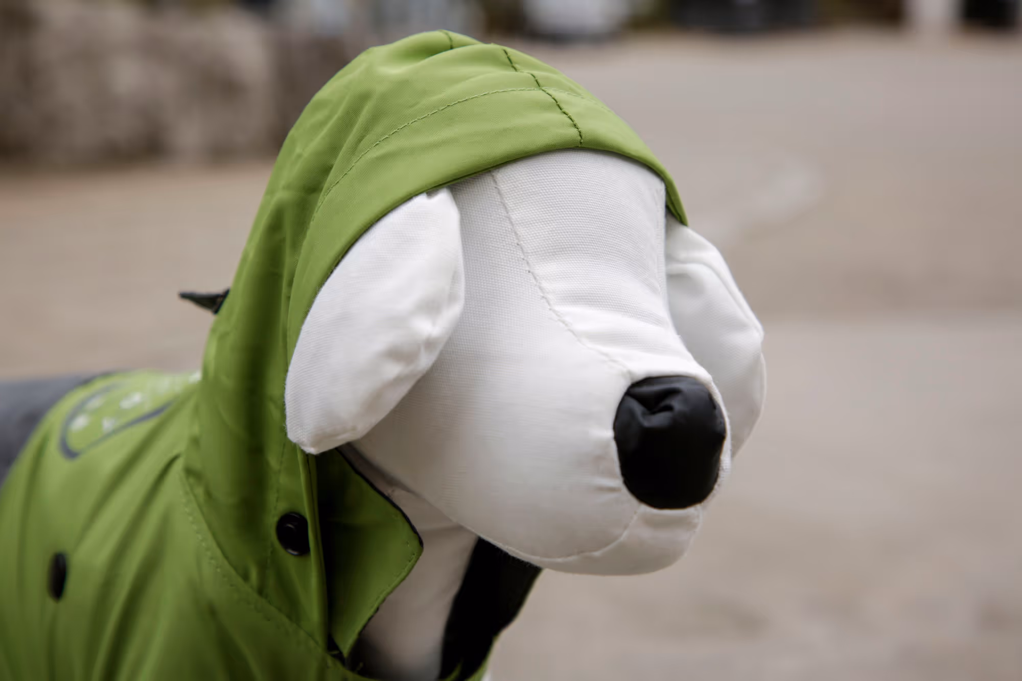 Manteau pour chien Vancouver gris/vert, taille XL, 50cm