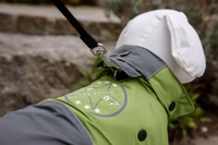 Manteau pour chien Vancouver gris/vert, taille XS, 30cm