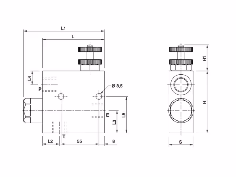 MARCHESINI Régulateur de débit 3 voie 3/4'' BSP (120 L/mn Débit) Flux excédentaire vers le réservoir