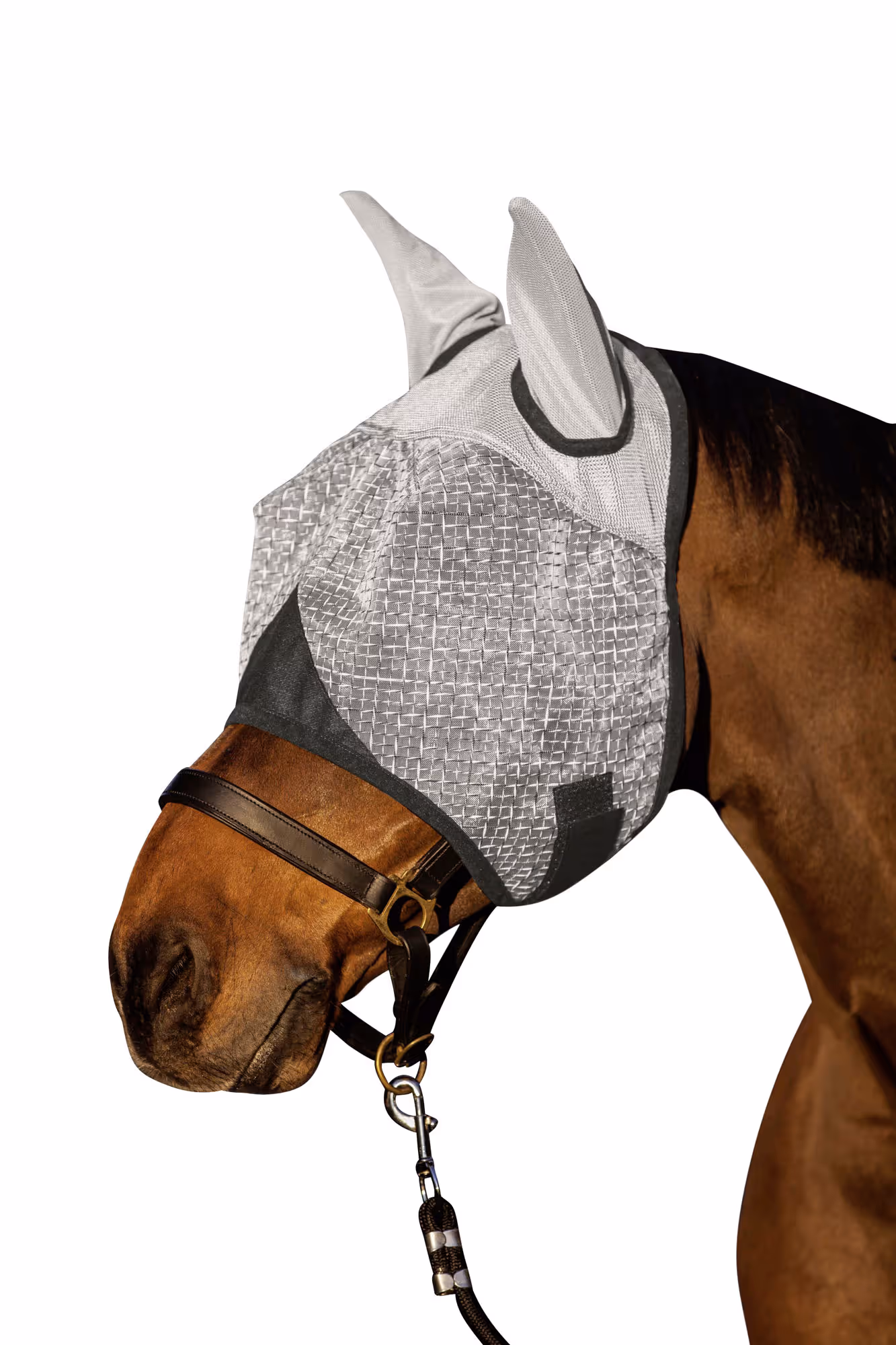Masque anti-mouche anti-UV oreilles, pony